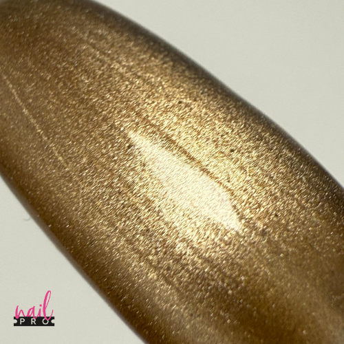 NAIL PRO Esmalte Ojo de Gato Mayllard 08