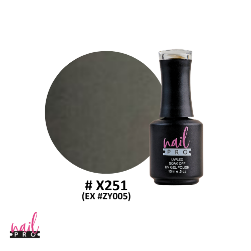 NAIL PRO Esmalte Permanente X251 (exZX005) Gris Claro